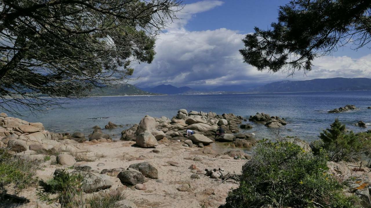 Les Figuiers Διαμέρισμα Porto Pollo Εξωτερικό φωτογραφία
